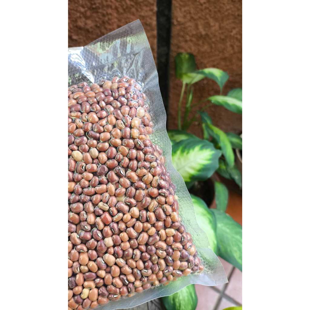 

Kacang Tolo 250gr kemasan vakum