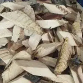

ikan Cue tongkol/5 potong