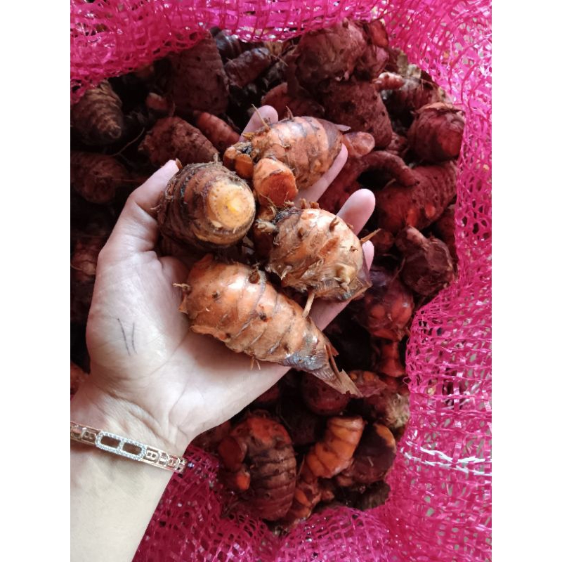 

ELSHOP Empu/Biang Kunyit/Kunir Fresh/Segar & Bersih dari Kebun Murah 1 Kg