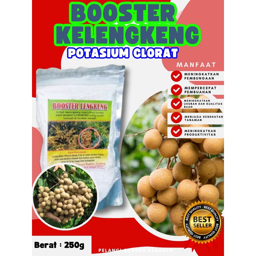 TERLARIS  Boster Kelengkeng Stek