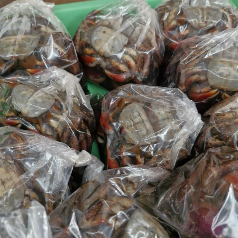 

Makikoi | Maki Koi | kepiting Kecil Asin khas Kalimantan | yuyu