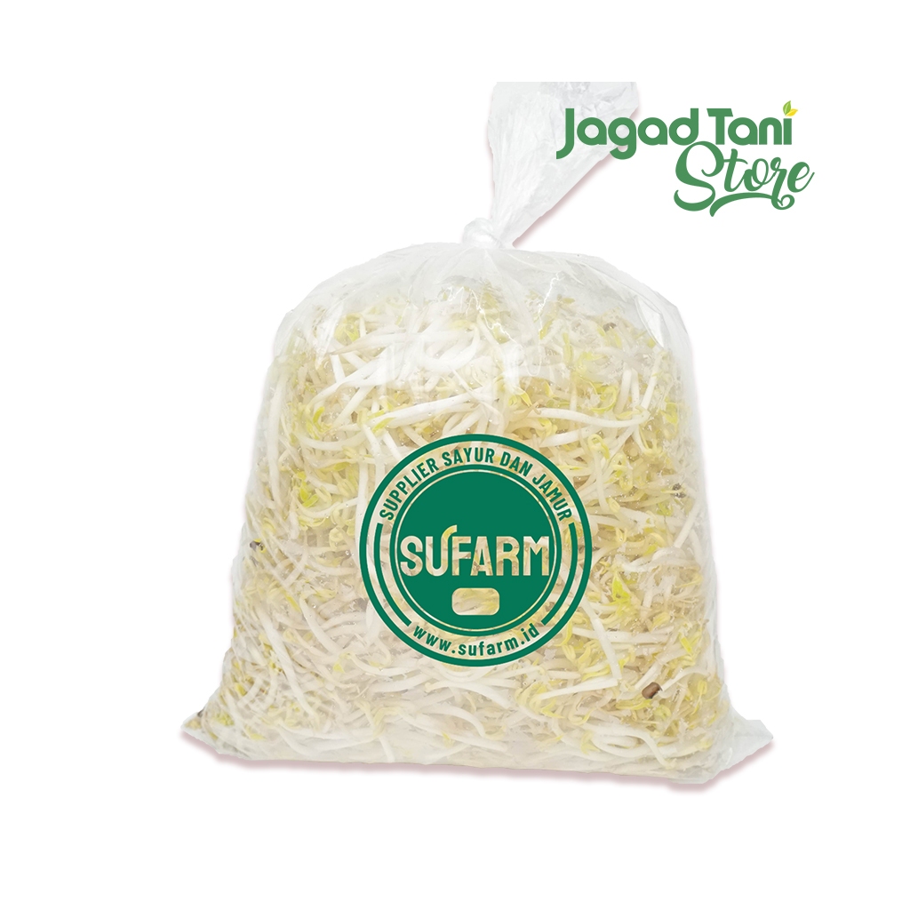 

SUFARM Tauge Moyashi Curah 1kg - Tauge Putih Khas Jepang
