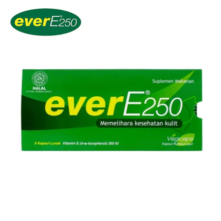 (NEW ORI) PROMO EVER E 250 ISI 6 / EVER E ISI 12