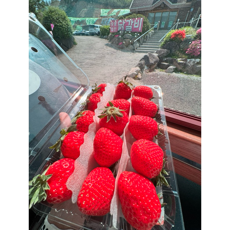

strawberry korea