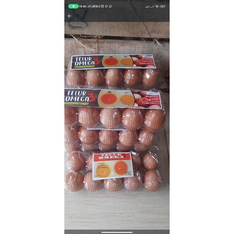 

telur omega 3