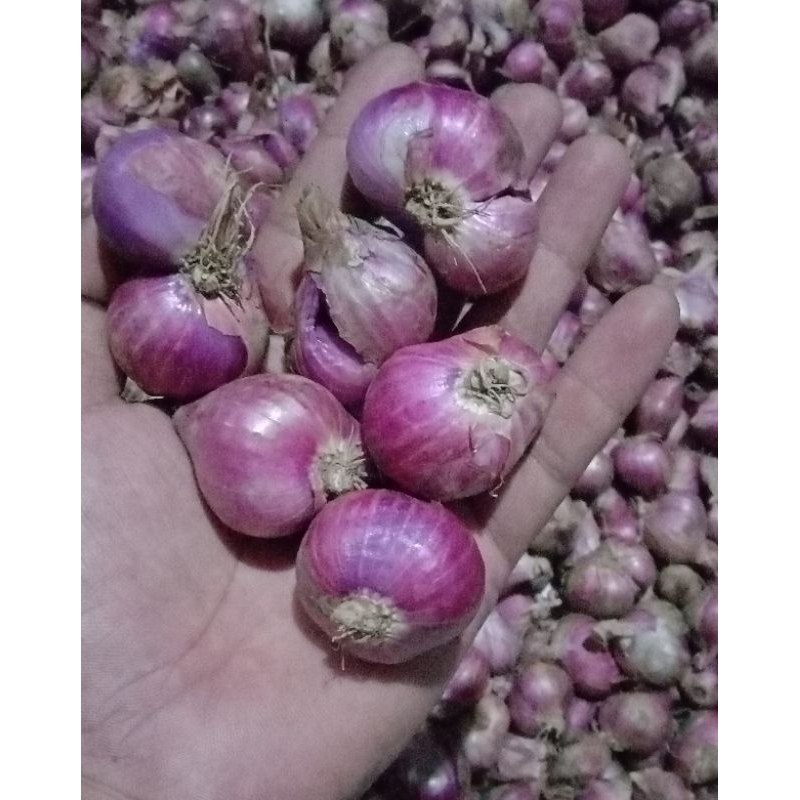 

bawang merah super kering 1kg