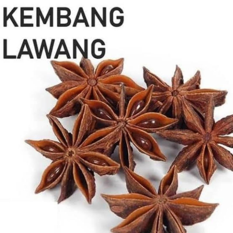 

Bunga Lawang Rempah Bumbu Dapur Kembang Pekak Premium Aromatik