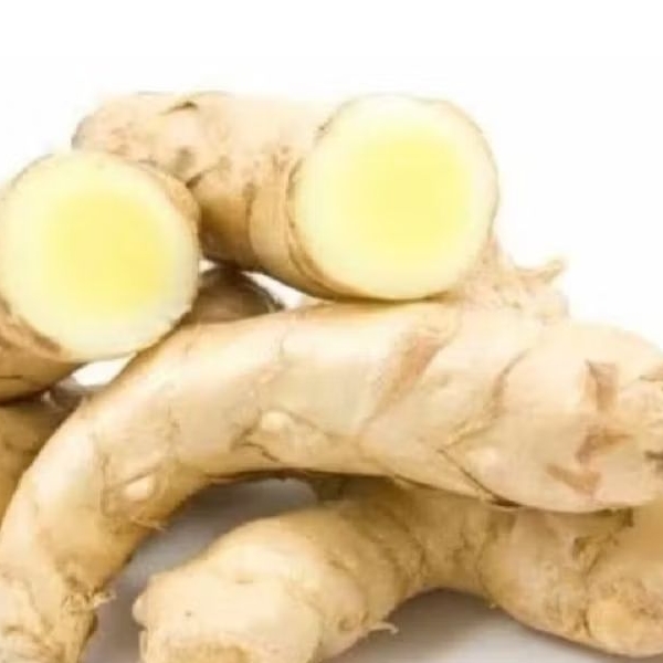 

temu putih curcuma 1 kg