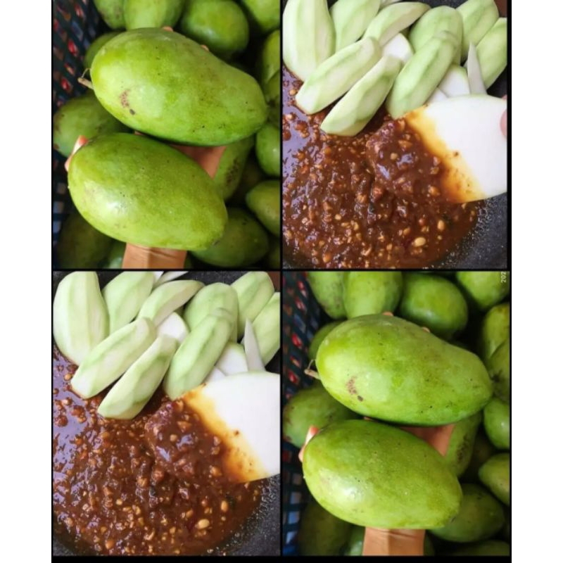 

Mangga Rujak Fresh 500g Grosir