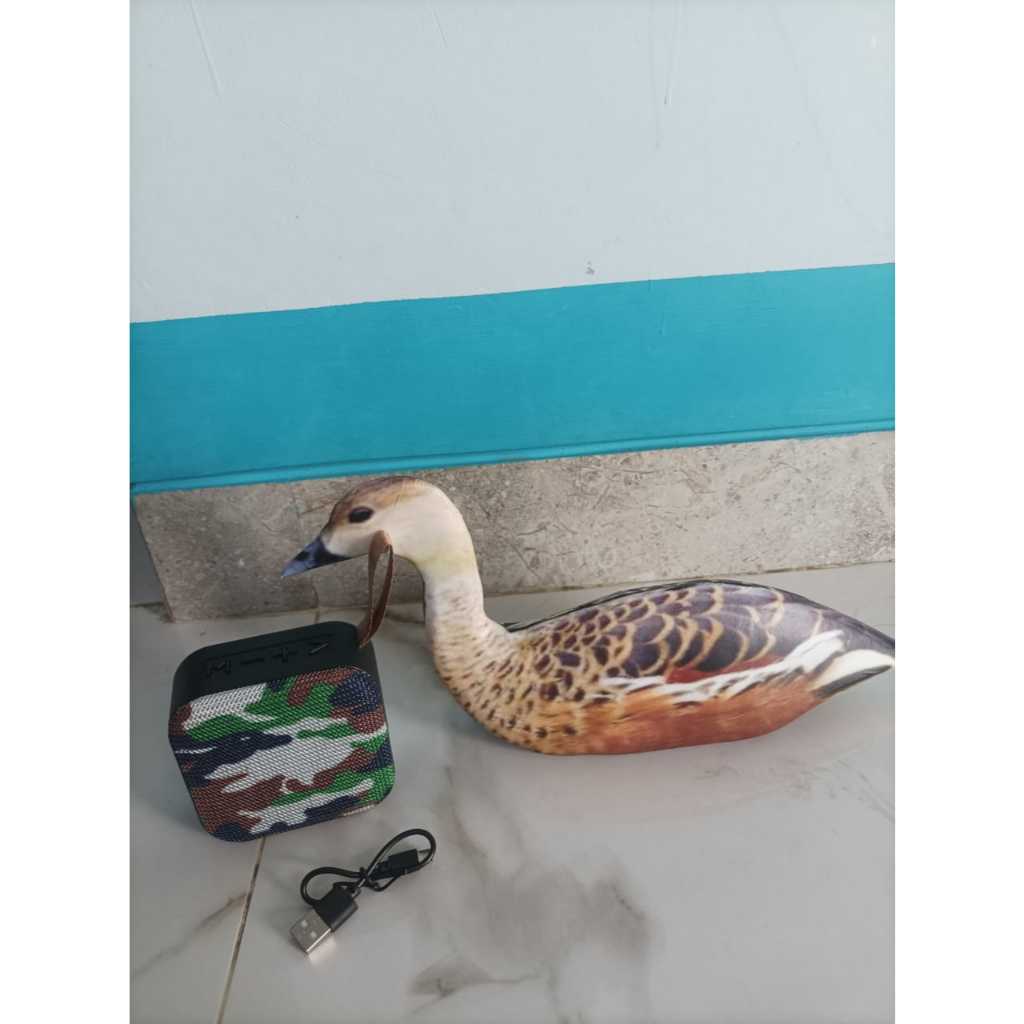 PAKET MP3 SUARA BURUNG + JONTROT RUAK RUAK TEKUKUR BELIBIS WALIK PUNAI