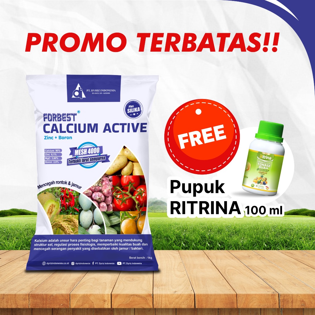 Forbest Calcium Active/Pupuk Kalsium Tinggi 1kg + 100ml RITRINA(BONUS)