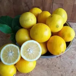

lemon lokal 500g