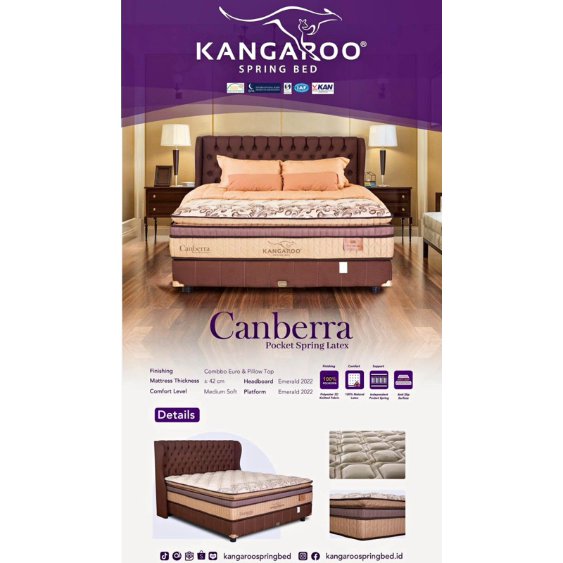 SpringBed Kangaroo Canberra Pocket + Latex Garansi 15 tahun