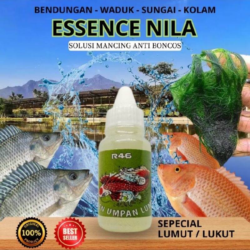 R46 essen lumut bisa buat ikan nila, mujaer, tombro