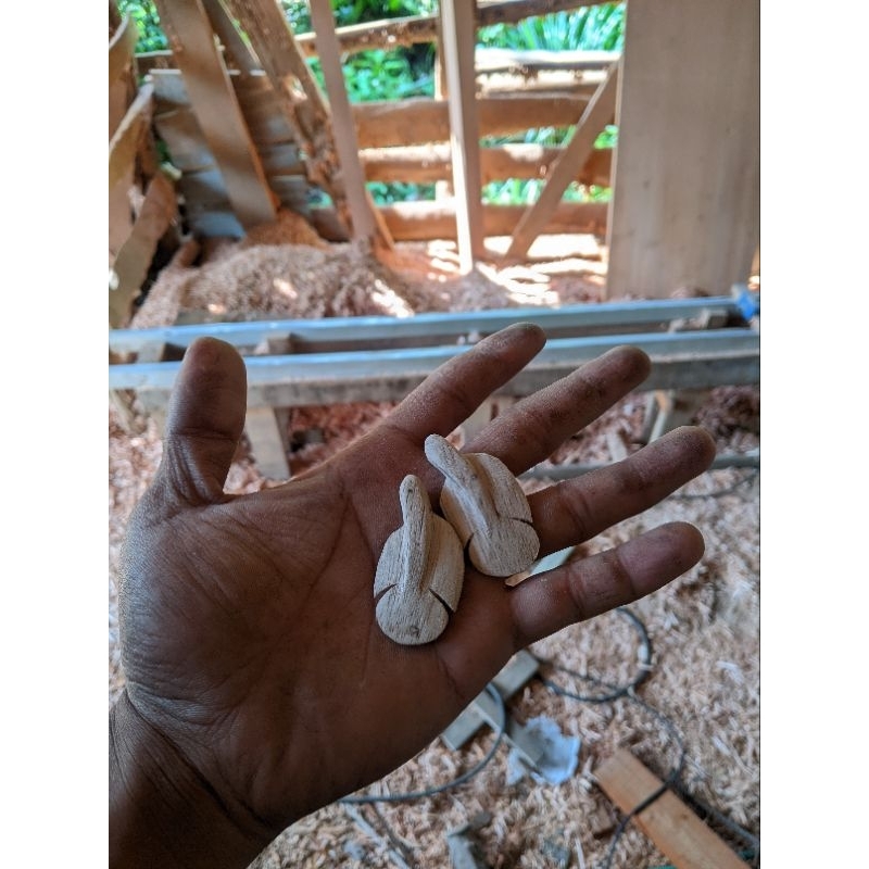 patung Channa auranti