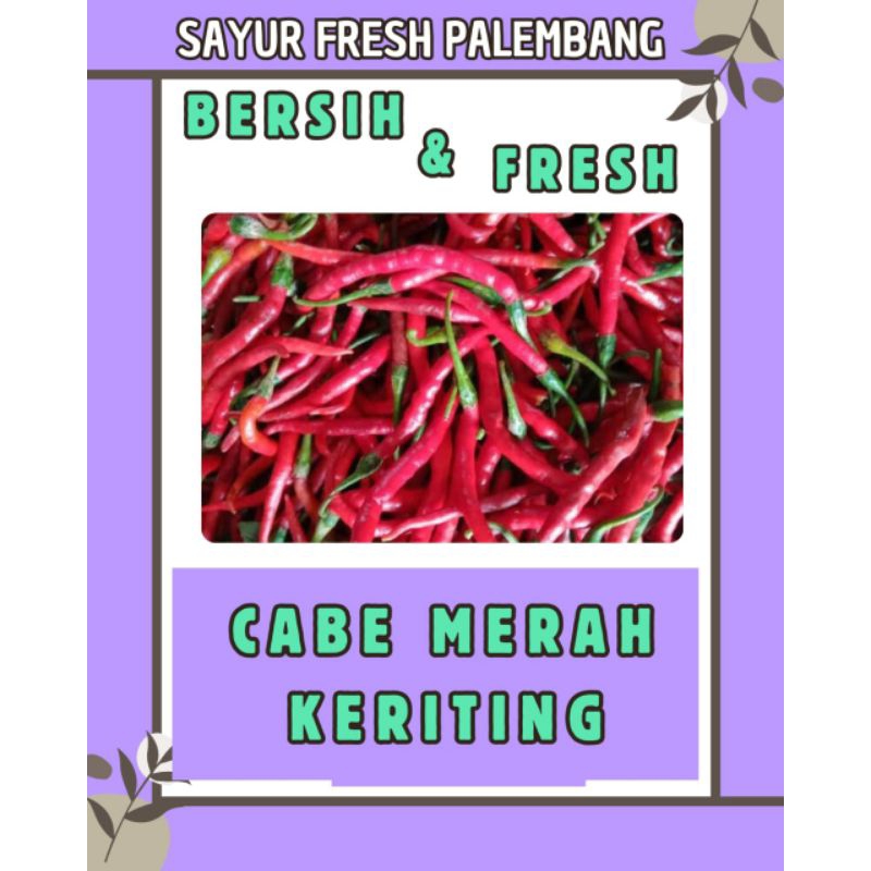 

CABE MERAH ( 2 ) FRESH & BERSIH - PALEMBANG