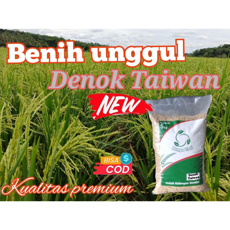 BENIH PADI UNGGUL DENOK TAIWAN 5KG