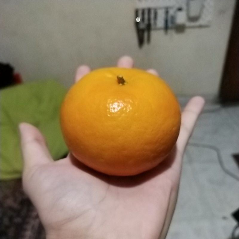 

Jeruk/orange