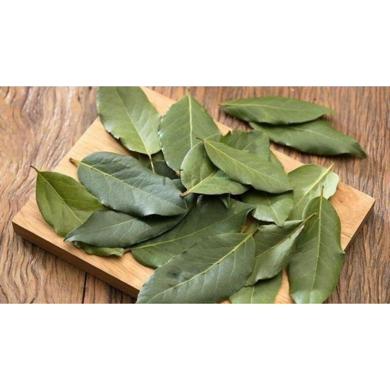 

Daun Salam Segar dan Kering