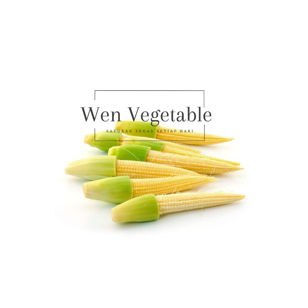 

Baby Corn / Jagung Muda / Putren Segar 250 gr