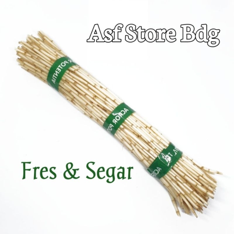 

Akar Alang Alang Segar Netto Per 250 Gram