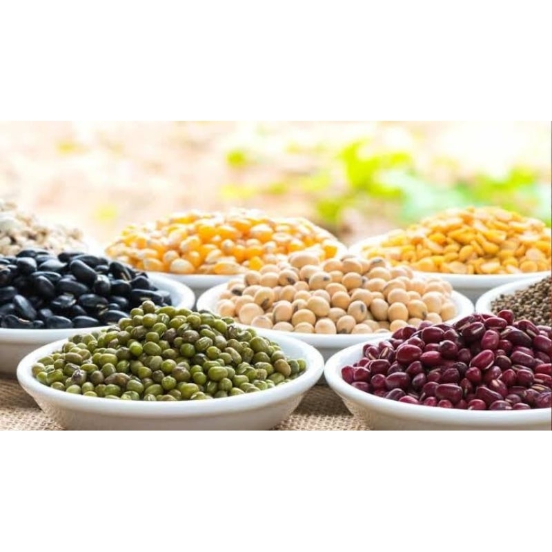 

Kacang varian 13 4,50