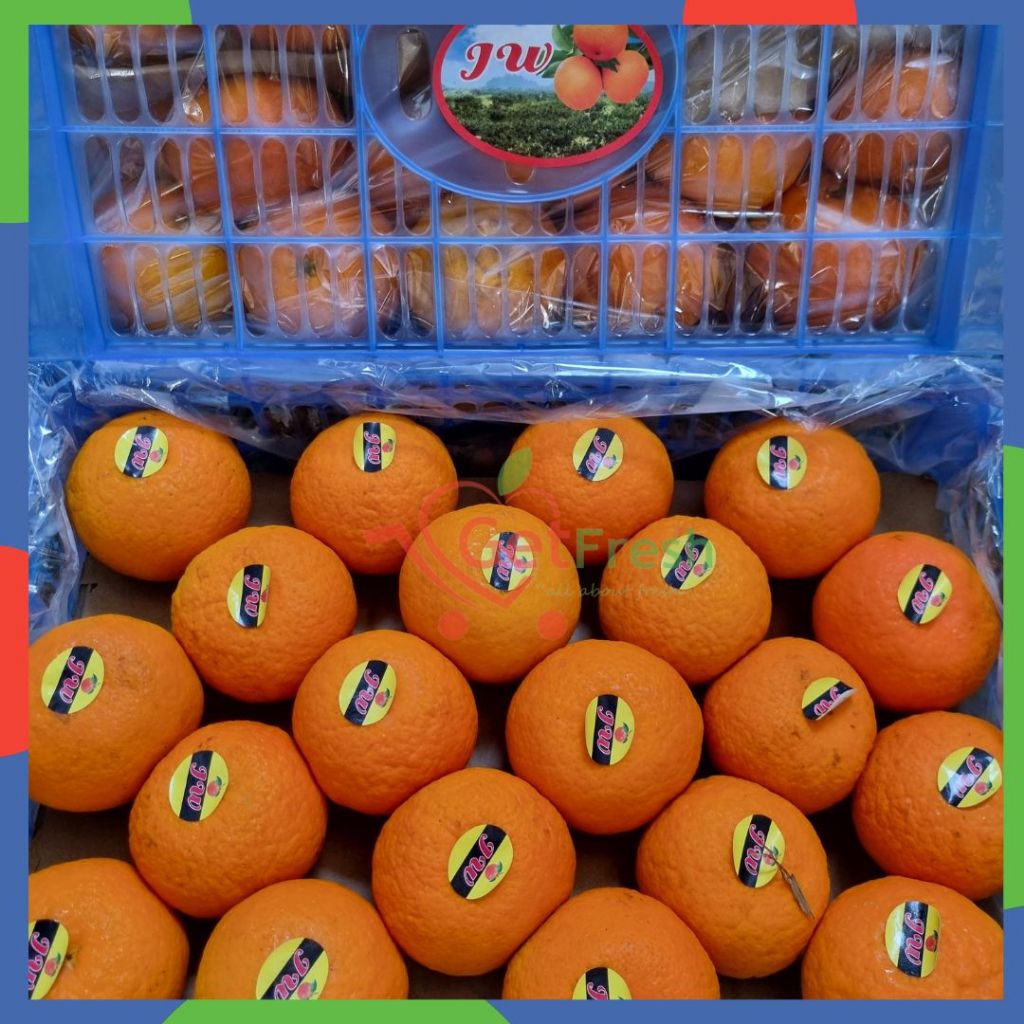 Jeruk Baby Wokam Daun Keranjang +-7.5kg