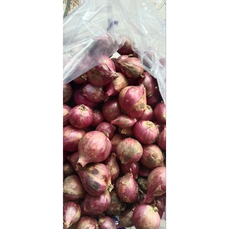 

bawang merah