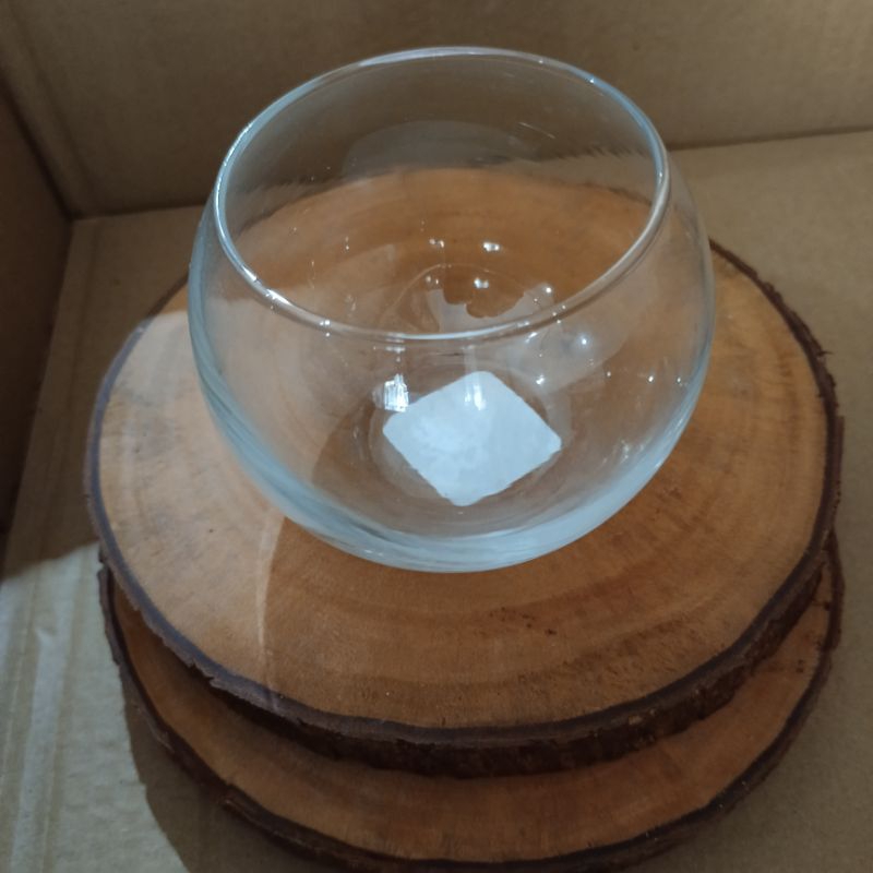 vas kaca kecil vas bundar akuarium vas terrarium