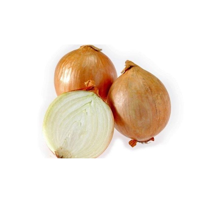 

bawang bombay fresh 250 gram