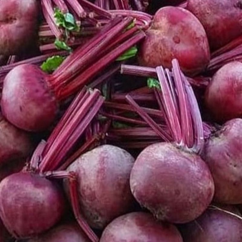 

Buah Bit/beetroot super 500 gram