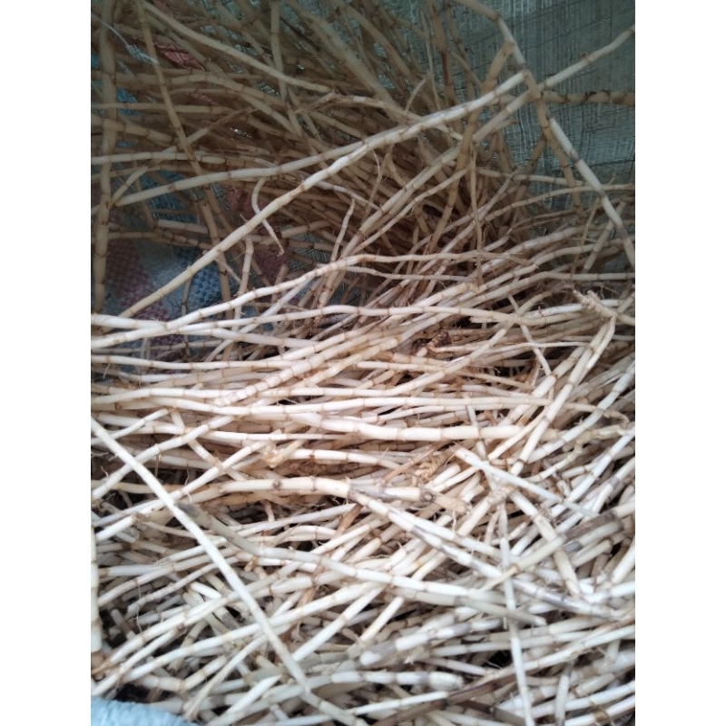 

promo alang-alang siap konsumsi 1kg