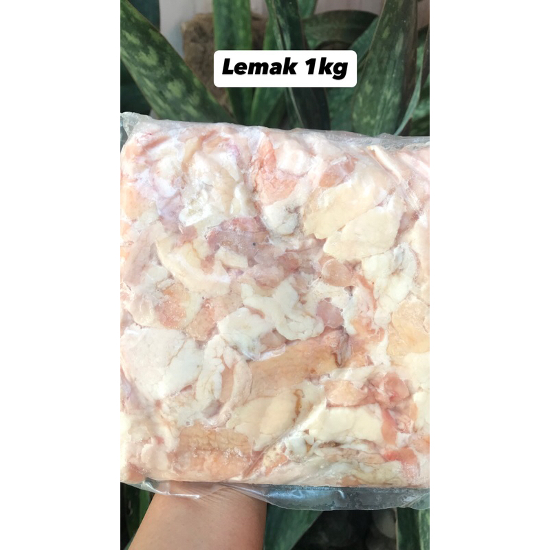

Lemak Kulit Ayam Frozen 1Kg