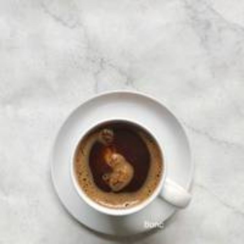 

Kopi Hitam Gula Merah Hot
