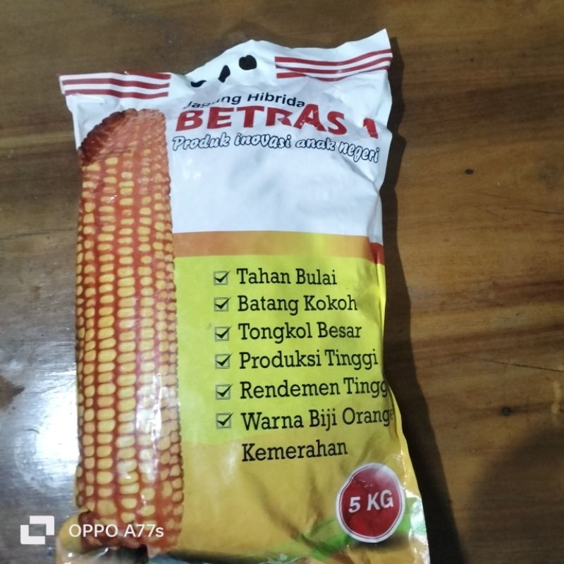 

BETRAS 1.berat 5kg