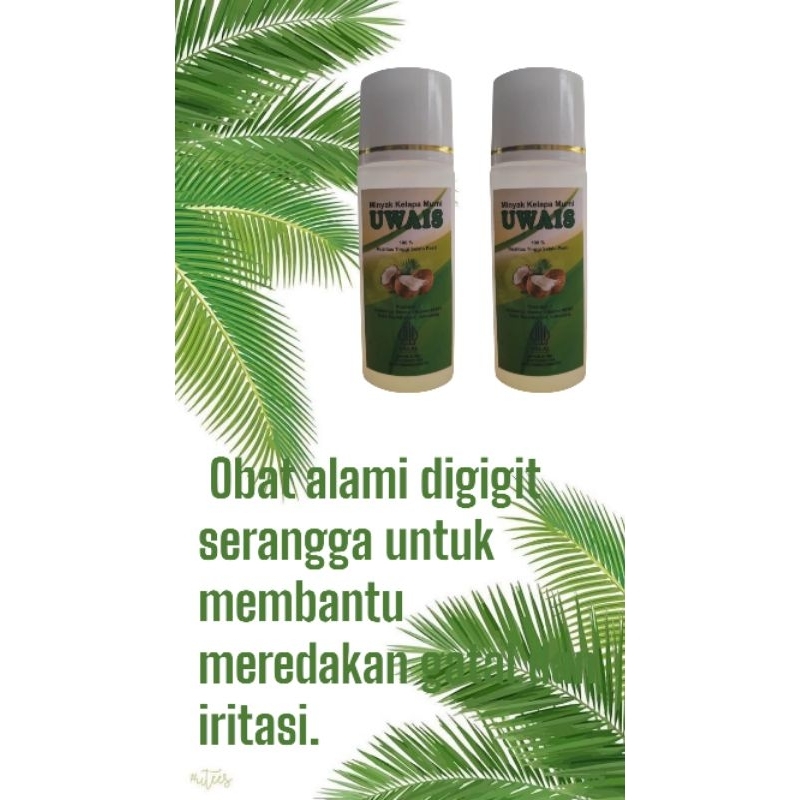 obat alami digigit serangga