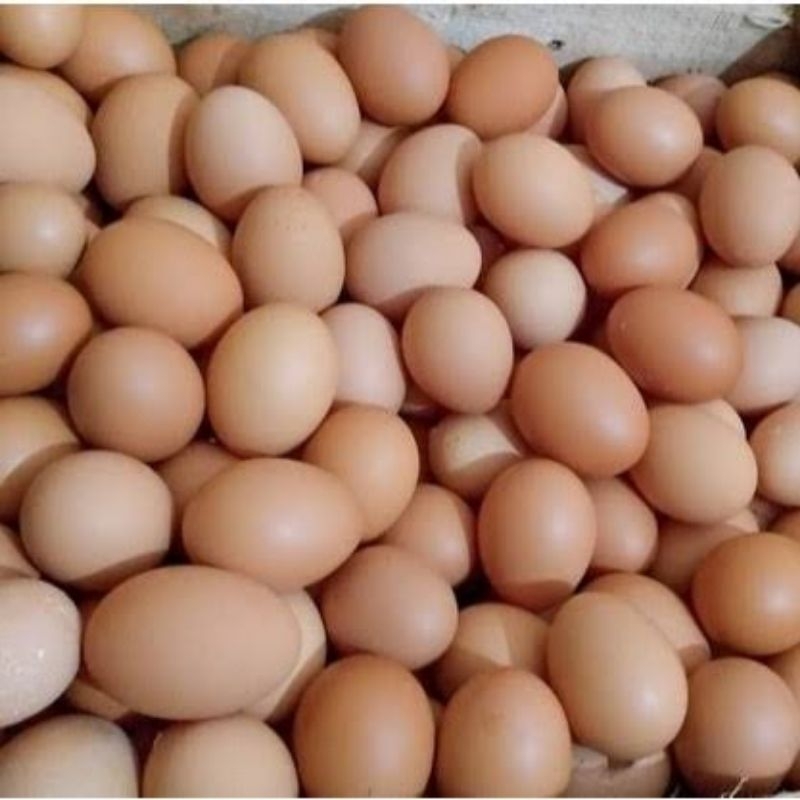 

TELUR AYAM NEGERI MURAH BERKUALITAS NETTO 1 KG murce