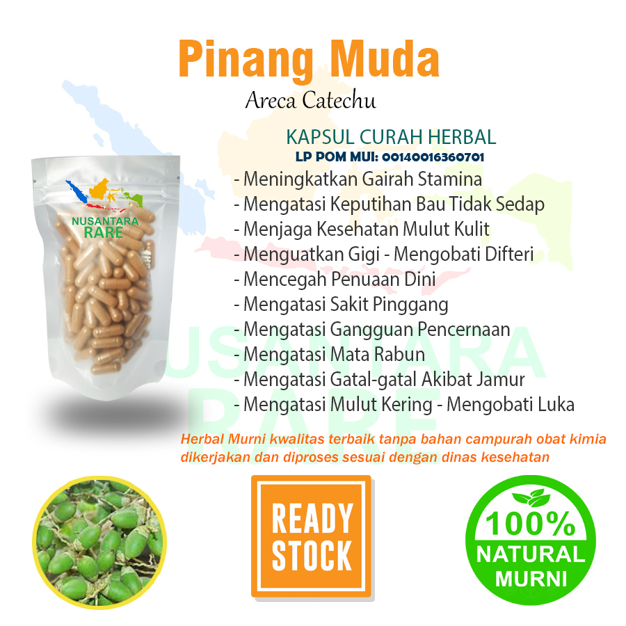 PINANG MUDA 100 Kapsul Herbal Stamina Pria