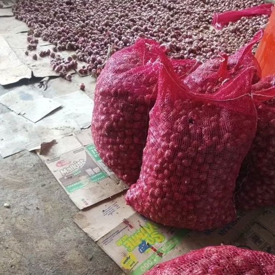 

Bawang Merah Batu super murah 10kg