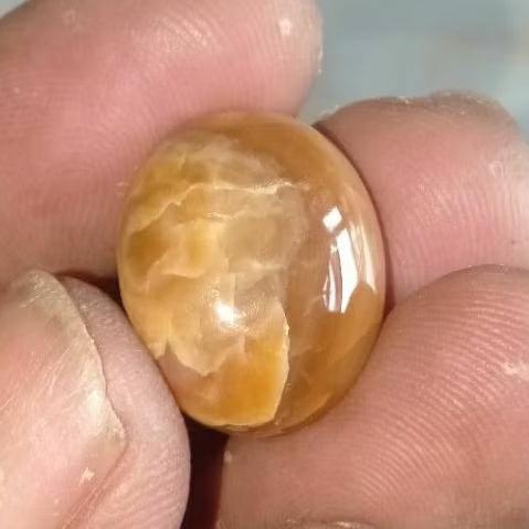 Batu Kijing Buntet  Fossill Asli Semeru Lumajang