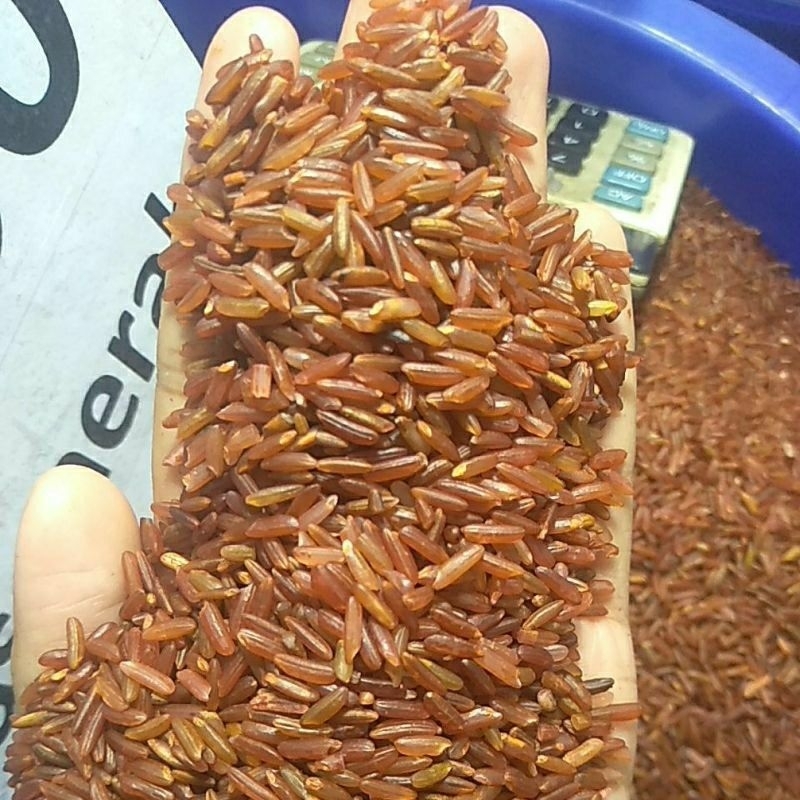 

Beras Merah 5kg murah berkualitas