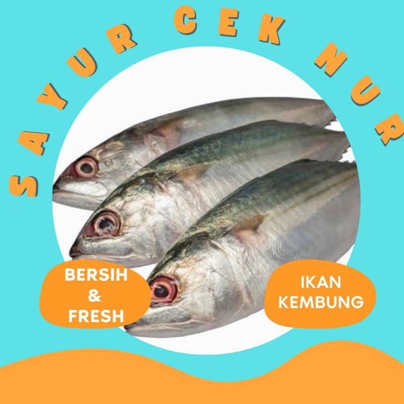 

IKAN KEMBUNG FRESH & BERSIH PALEMBAN
