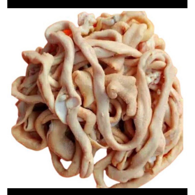 

usus ayam kampung atau broiler