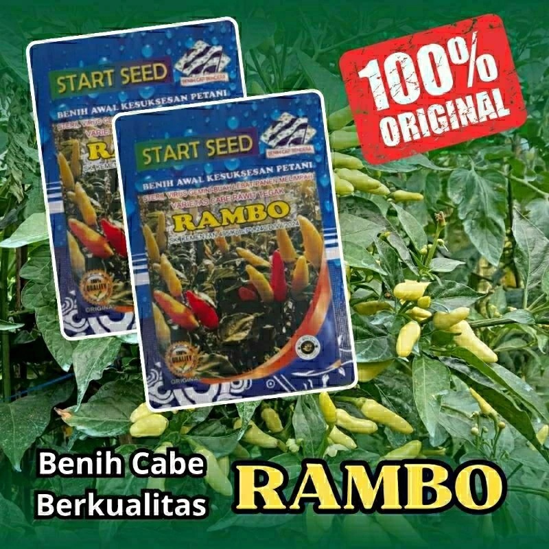 

Benih cabe rawit RAMBO original tahan virus