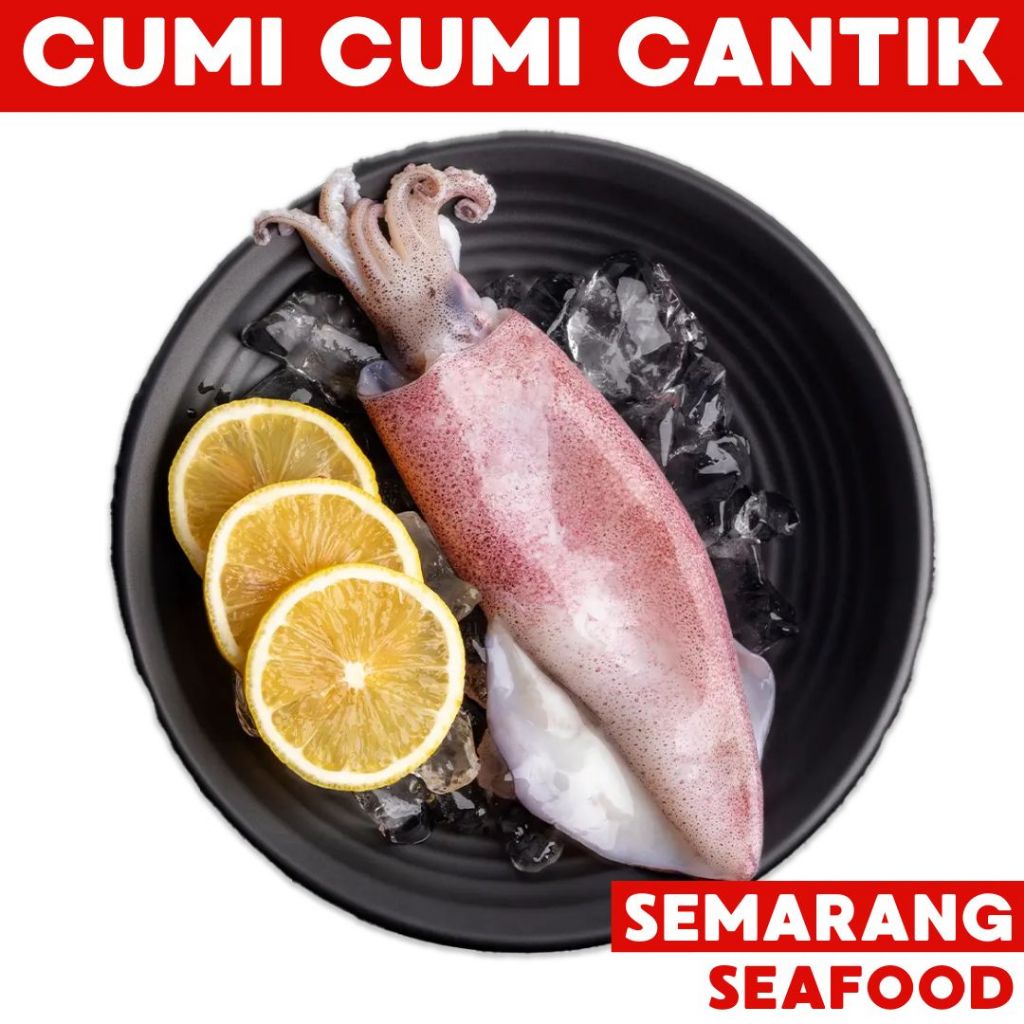 

Cumi Cantik Fresh Baby Sedang Besar 500gr