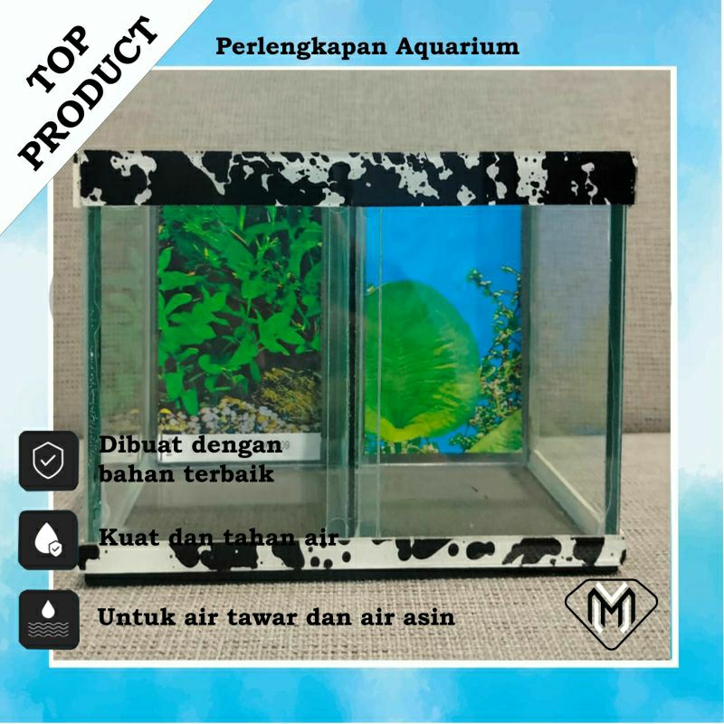 AQUARIUM MINIMALIS CUPANG SEKAT 2 / AQUARIUM KACA 2 KAMAR / AQUARIUM IKAN KECIL MOTIF