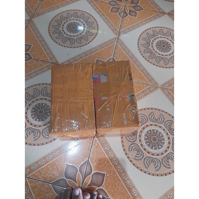 

estrak ketapang plcra