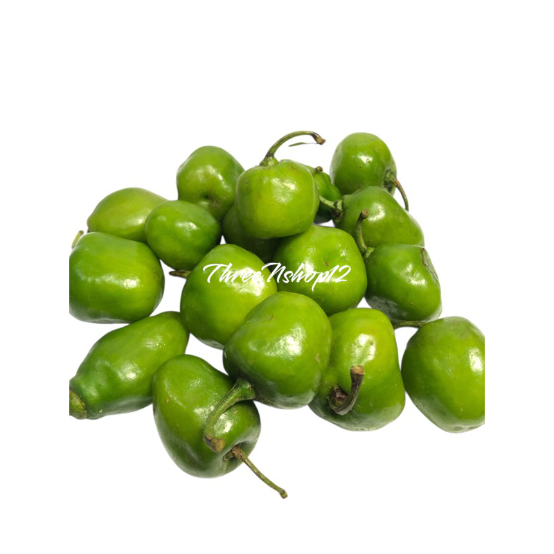 

CABE GENDOT FRESH UKURAN KECIL 500gr | CABAI GENDOT KECIL BANDUNG