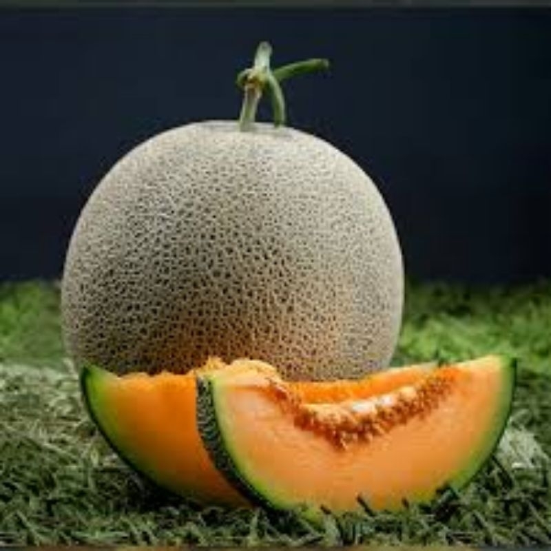 

buah melon lokal by jawarafruit