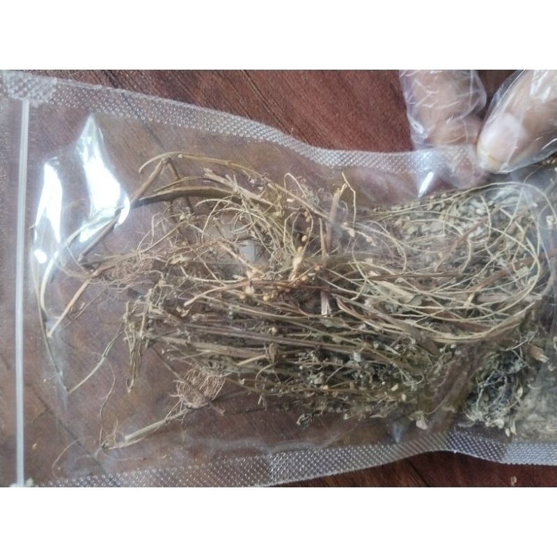 

100 gram meniran organik kering bersih.100% tanpa campuran